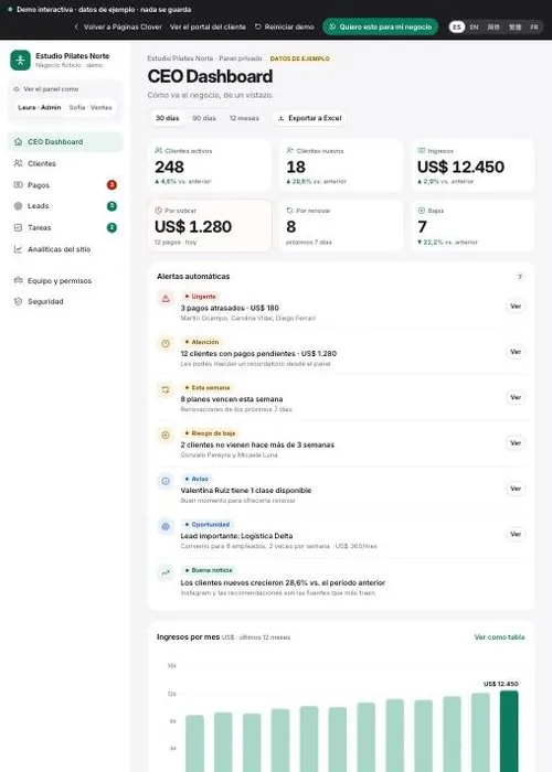 Screenshot of the CEO Dashboard demo